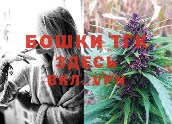 дурь Алзамай