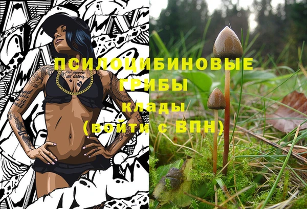 дживик Армянск